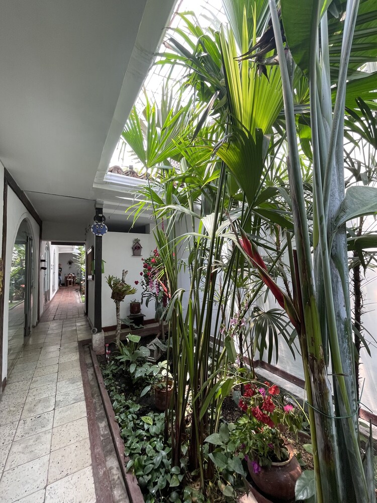 Hostal Chontaduro
