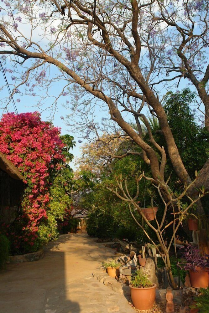 Photo 15