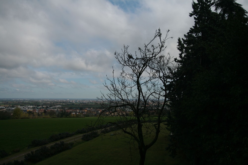 Photo 44