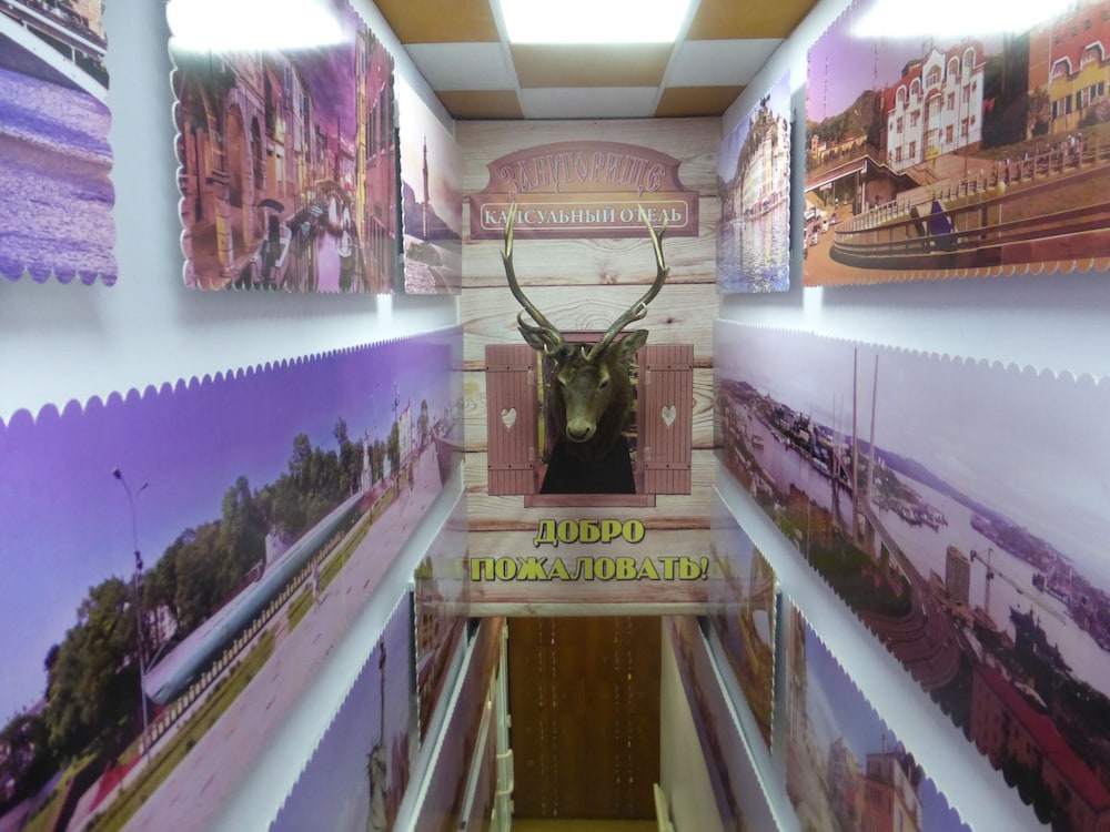Hostel Teremok