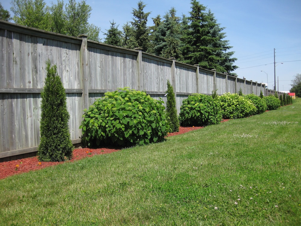 Kitchener Vacations - Embassy Motel - Property Image 8
