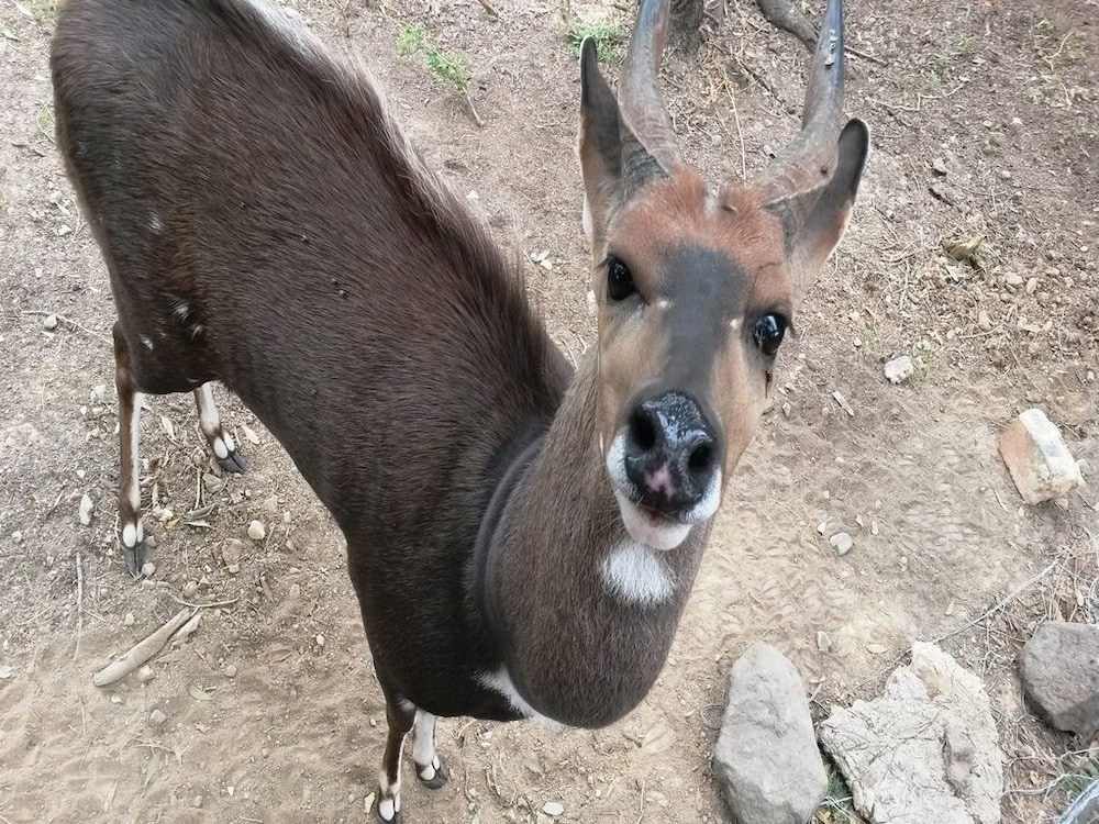 Pabala Game Farm