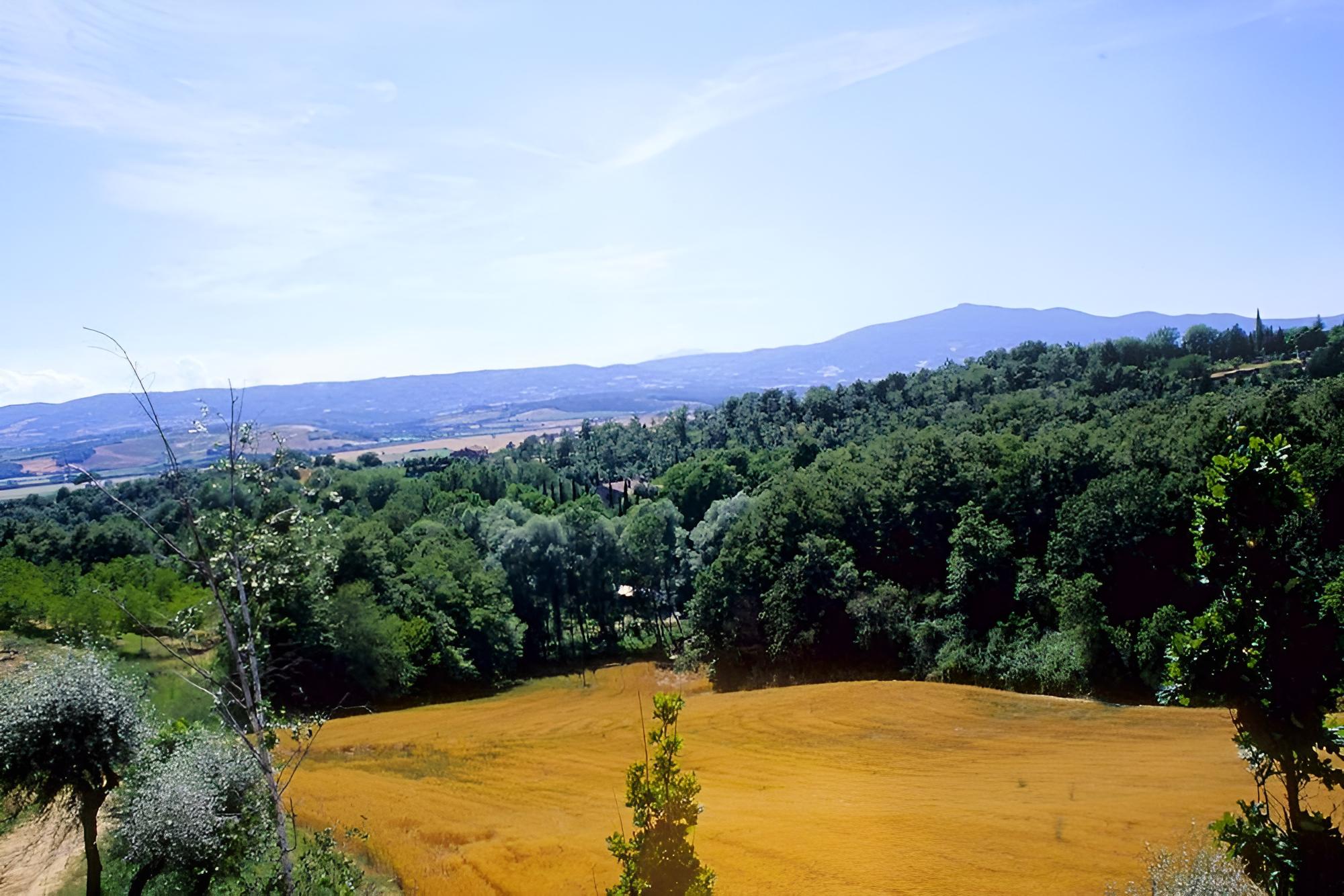 Relais Gli Ulivi