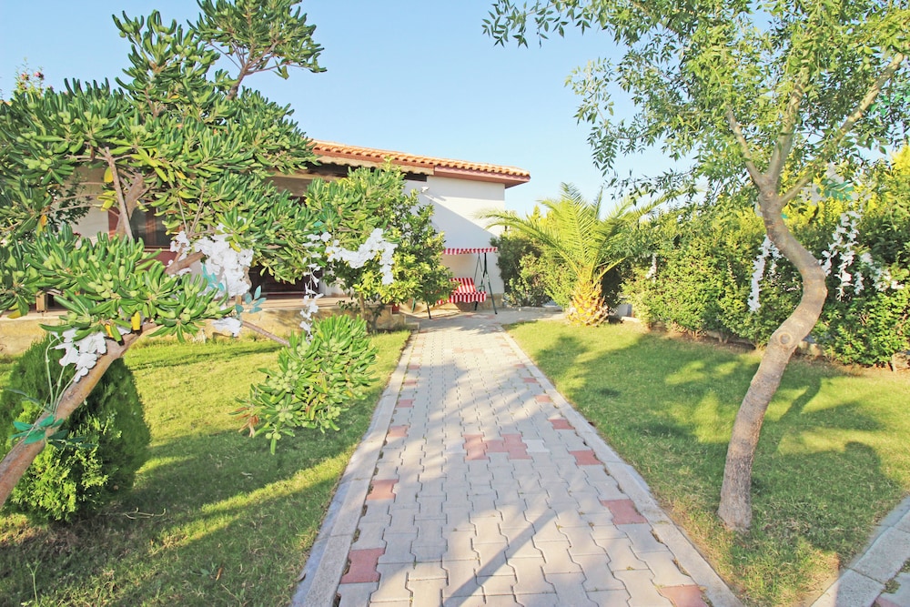 Karina Vineyard Evi - Image 12