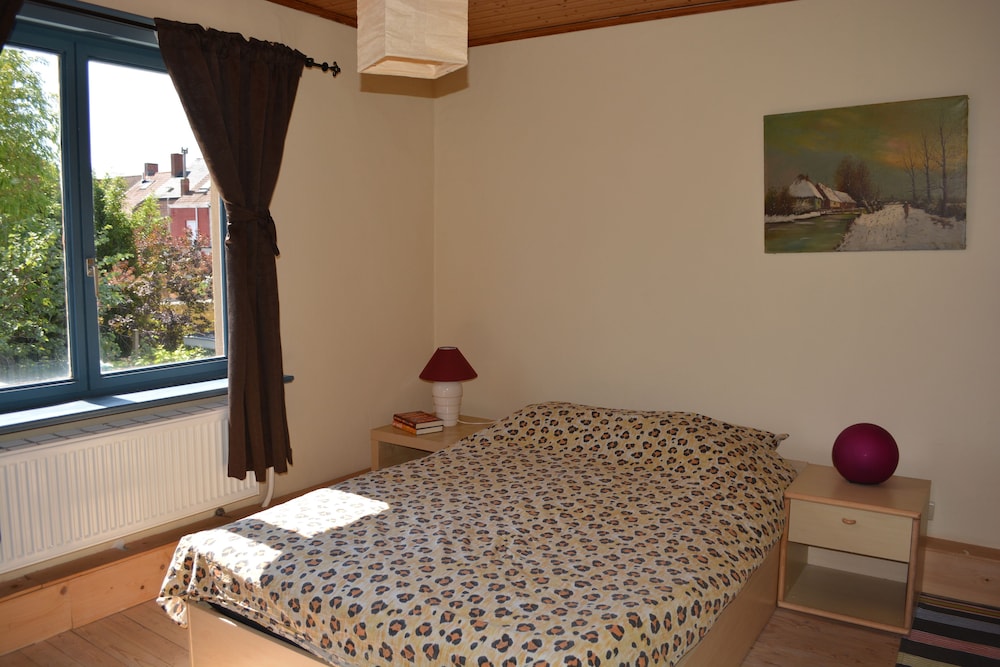 Home Trietje Ghent view 4