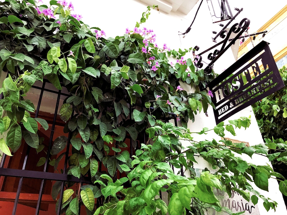 Casa La Bella Samaria Hostel Boutique