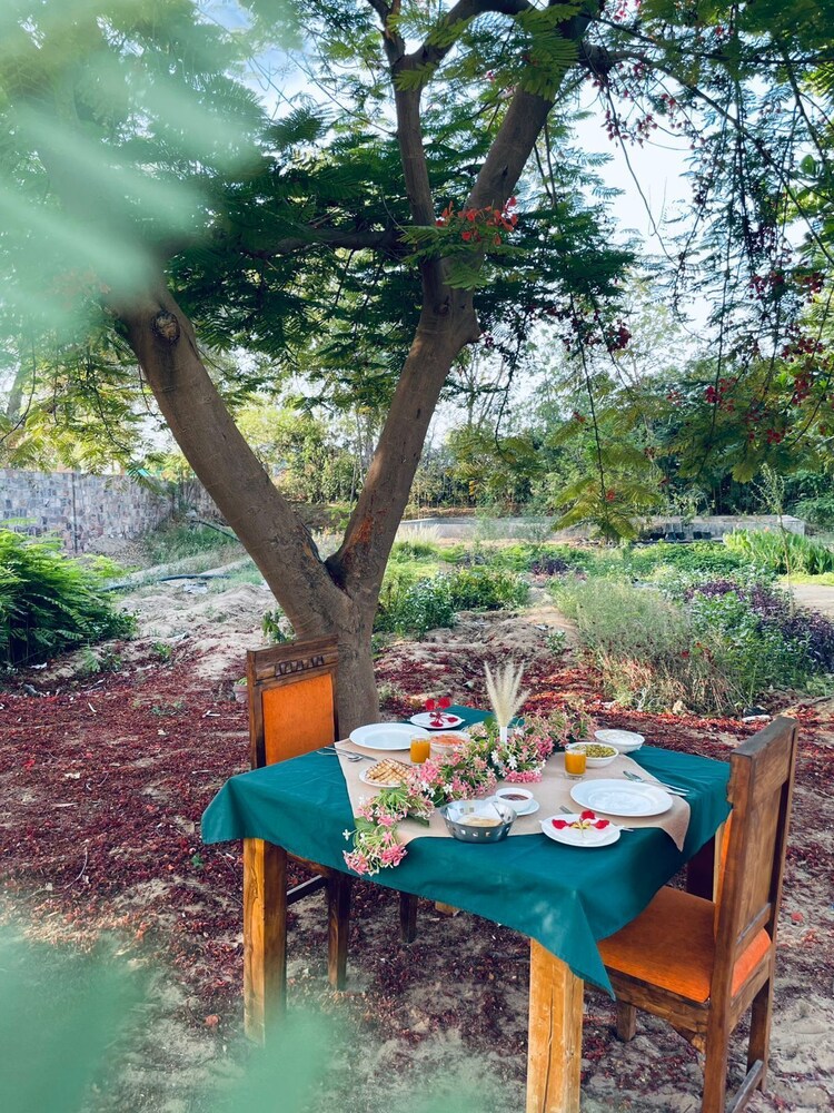 Hariyali Dhani Camps & Desert Resort With Swimming Pool, Jodhpur