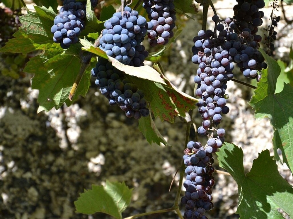 La Devinière