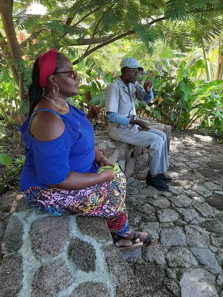 Jungle Bay Dominica
