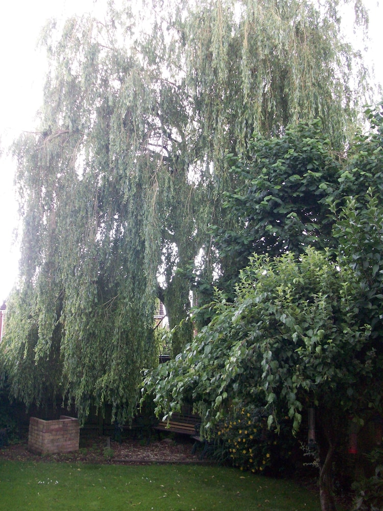 Photo 33