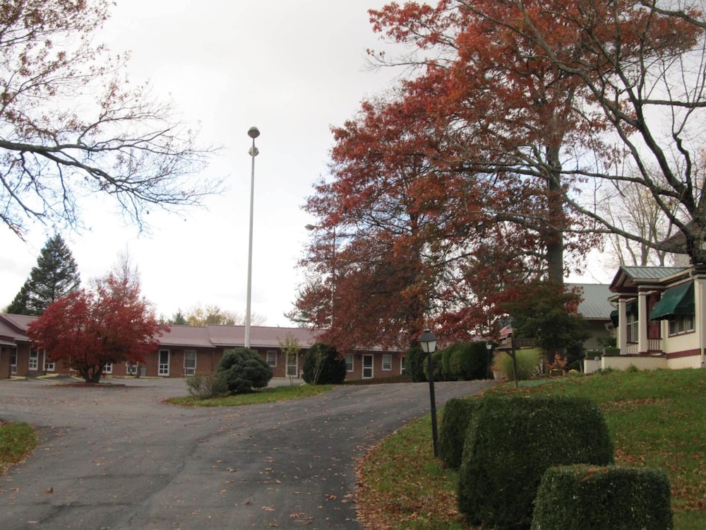 Photo 44