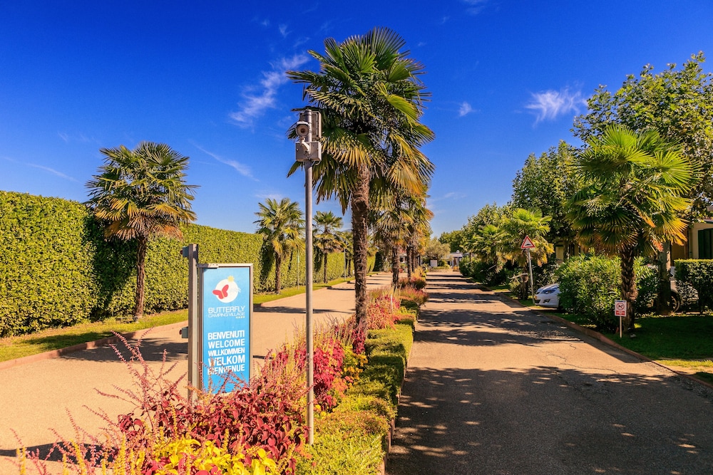 Butterfly Camping Village