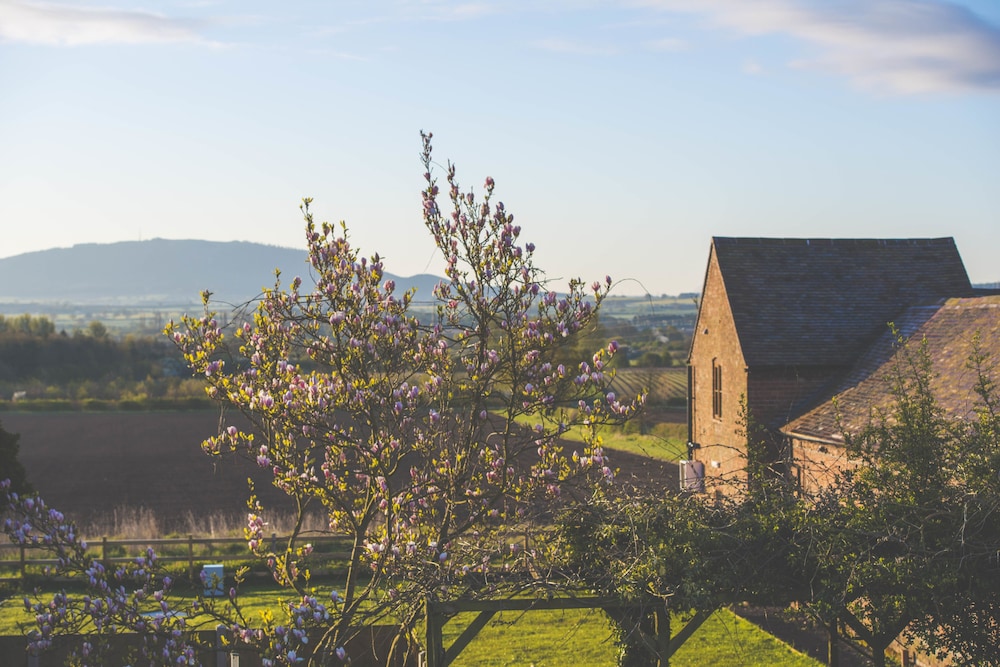 The Haughmond