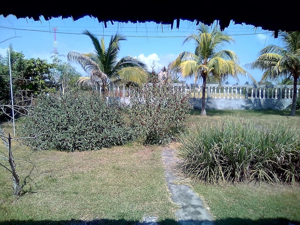 Photo 15