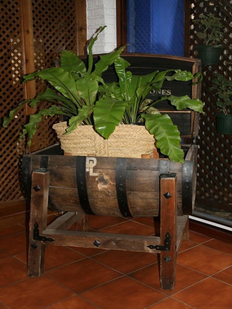 Hotel El Hidalgo photo 4