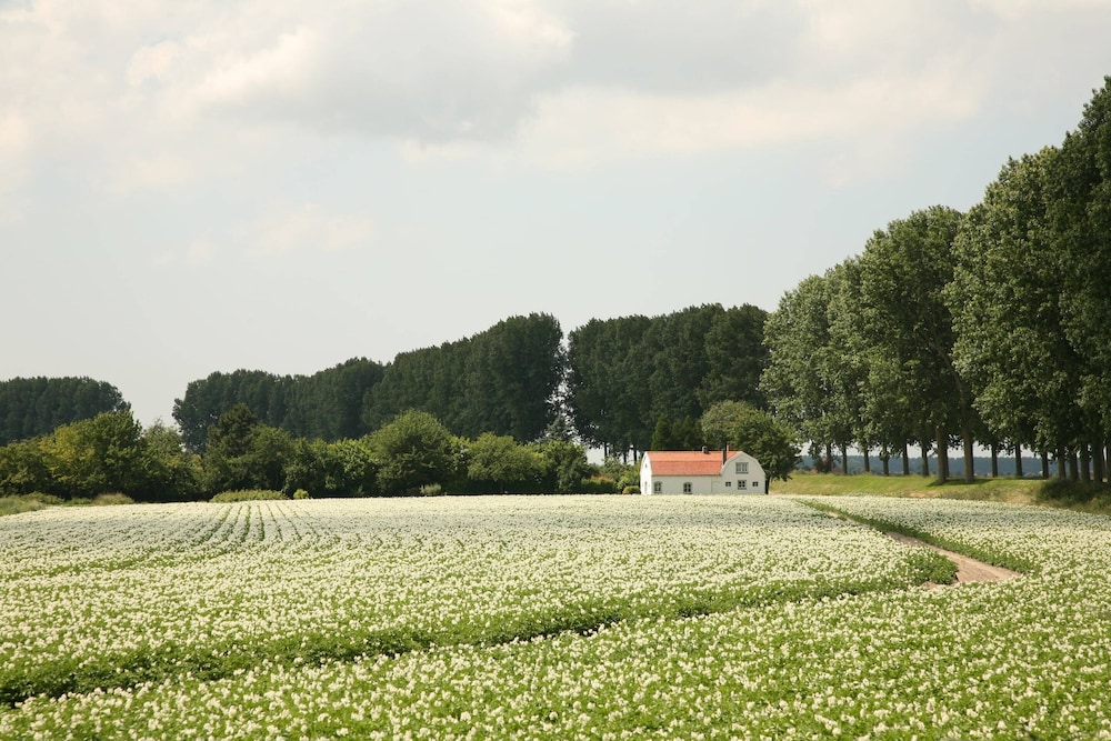 Dike House in Schoondijke Near Beaches view 5