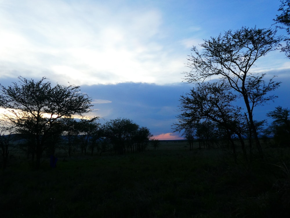 Serengeti Acacia Central Camp