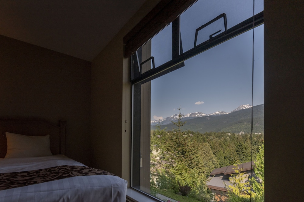 The Ironwood - Image 5