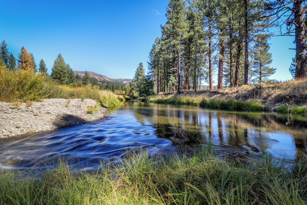 3BR Rustic Riverfront Home w/ Wood Stove