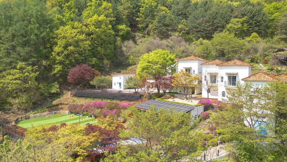 Hongcheon Sedona pet Pension view 5