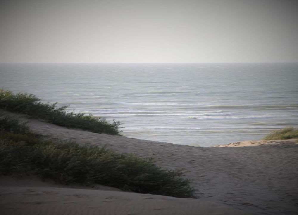 Penthouse in De Haan With Sea View