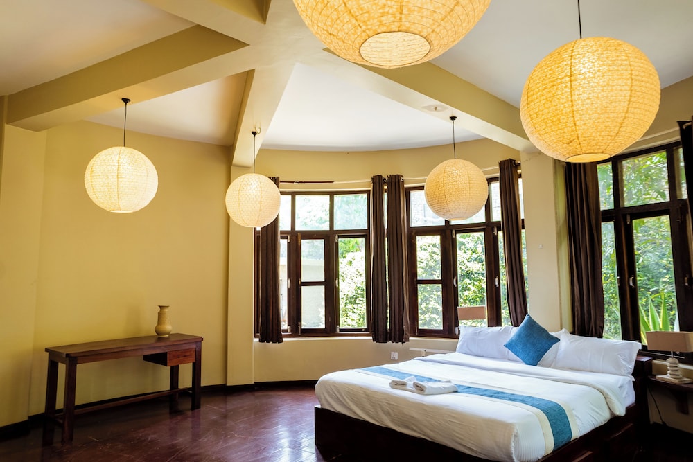 Krazy Gecko Resort