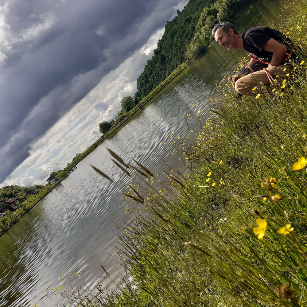 Photo 41