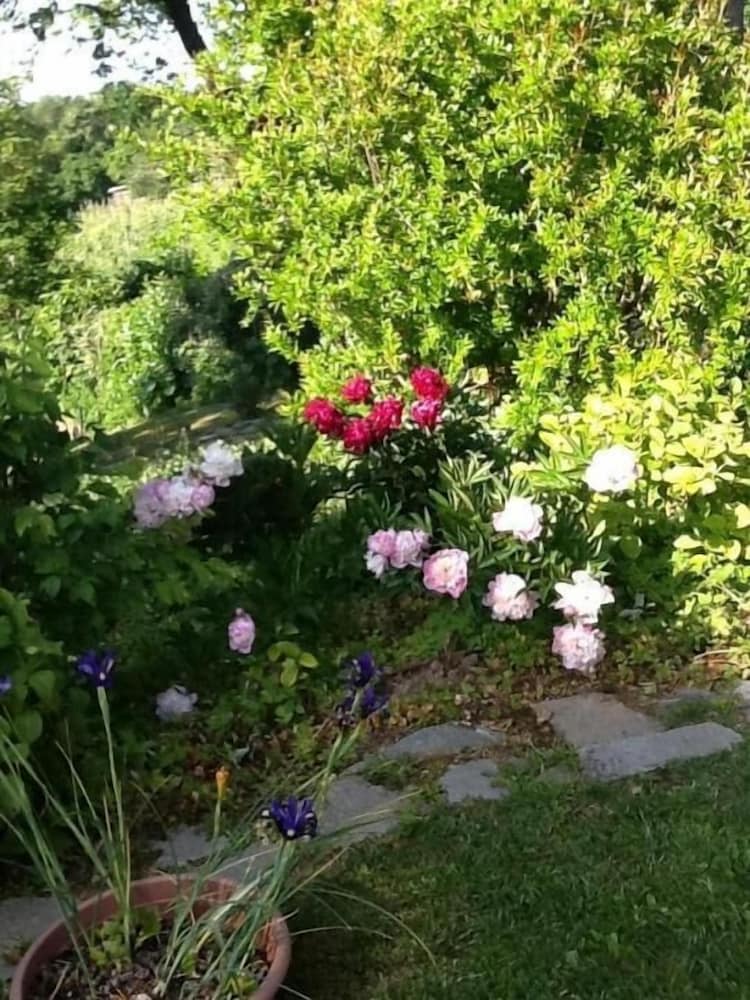 Room & Breakfast nel borgo Scipione