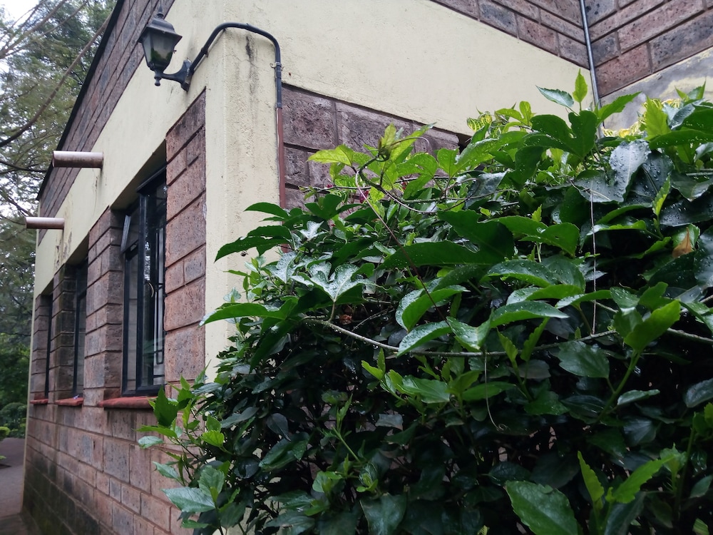 Milimani Backpackers