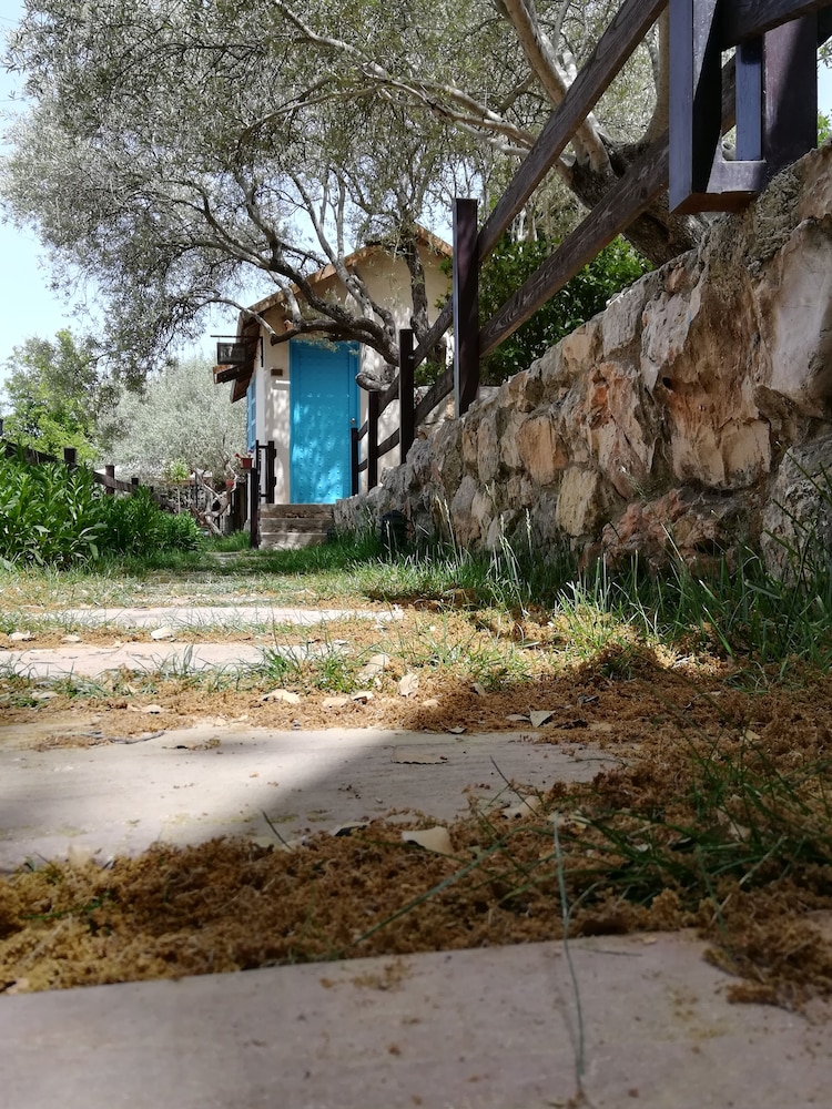 Photo 25