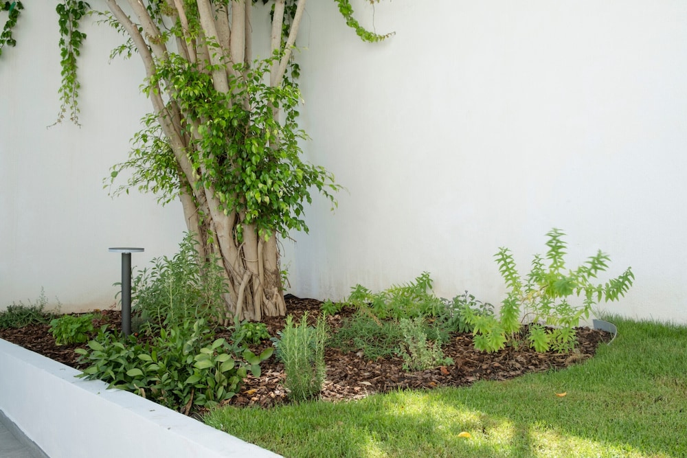 Addaura Marina Apartment by Wonderful Italy
