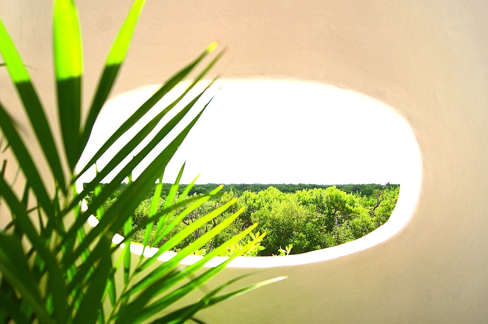 Isla Holbox Vacations - Hotel Villas Flamingos - Property Image 110