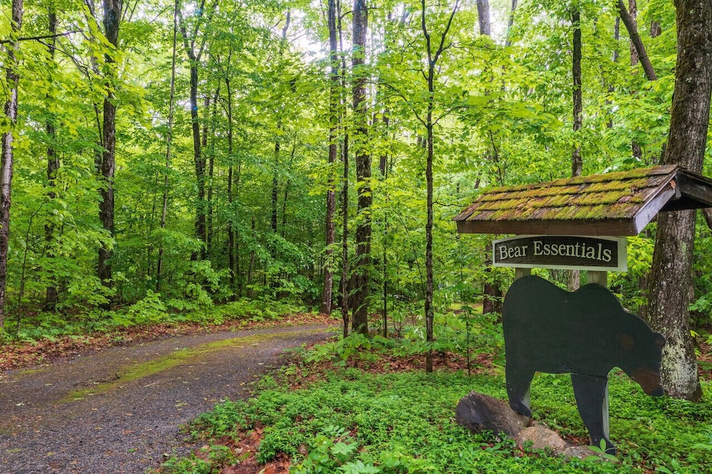 Bear Essentials Lakefront Hideaway