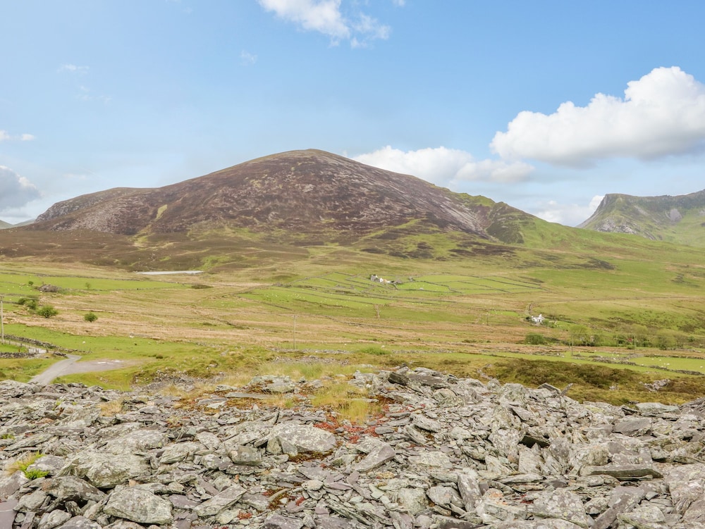 Bryn Derwen