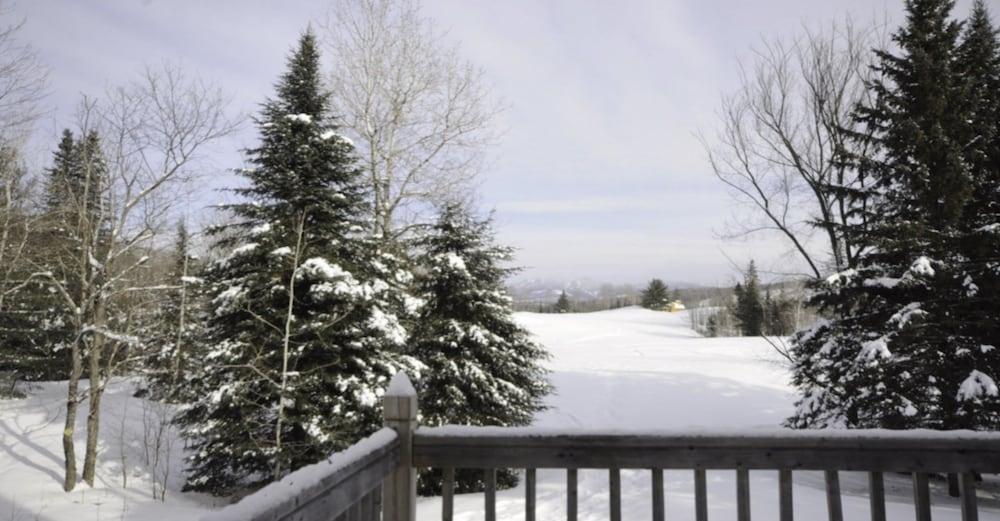 Oasis - Tremblant Sunstar