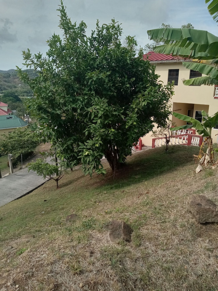 Near Ferry, Airport, Shops, Beaches, Atms, Rodney Bay and Castries - Free Pickup view 4