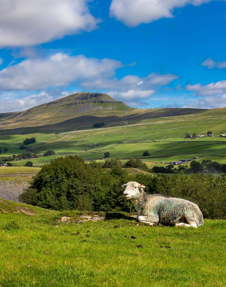 Middle Studfold Farm B&B