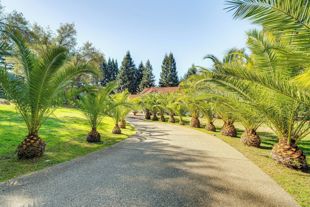 Luxe Vineyard Villa w/ Views & Fire Pit in Loomis!