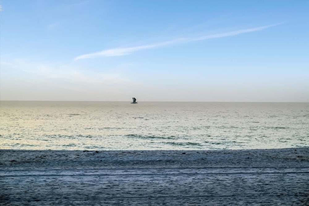 Stones Throw Beachfront Premier Suite 4 Views