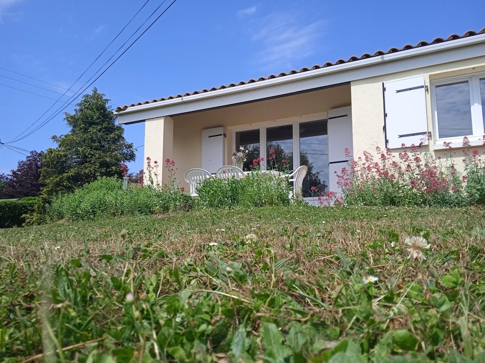 Photo 19