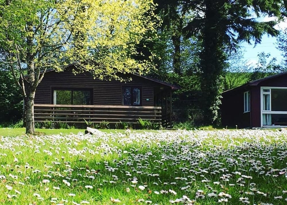 Bodmin Vacations - Ruthern Valley Holidays - Property Image 13