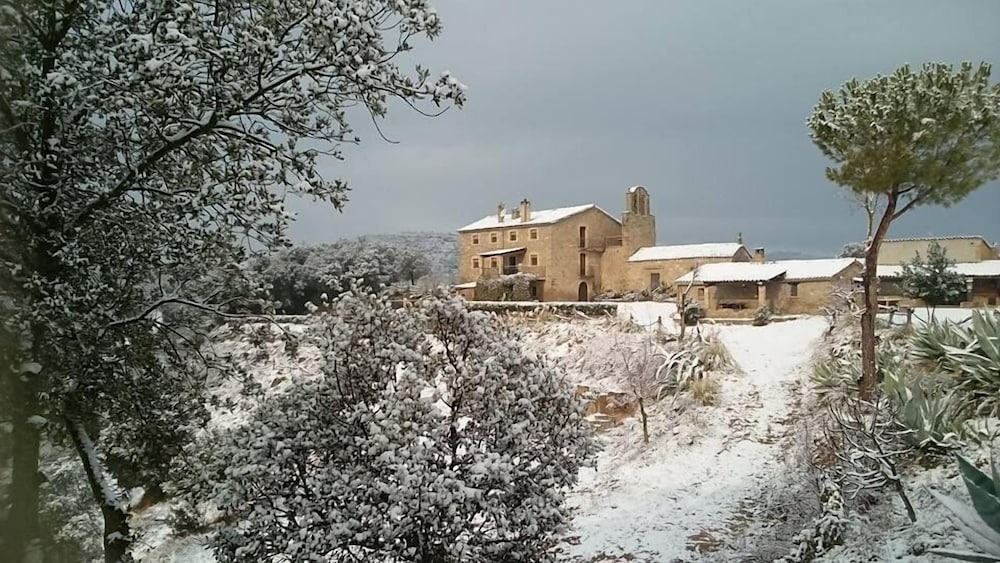 Photo 19