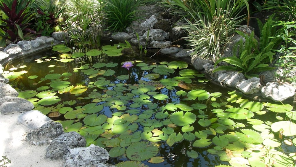 Photo 29