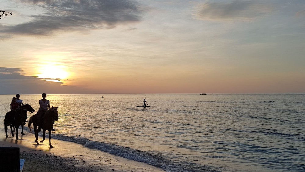 Karma Kayak