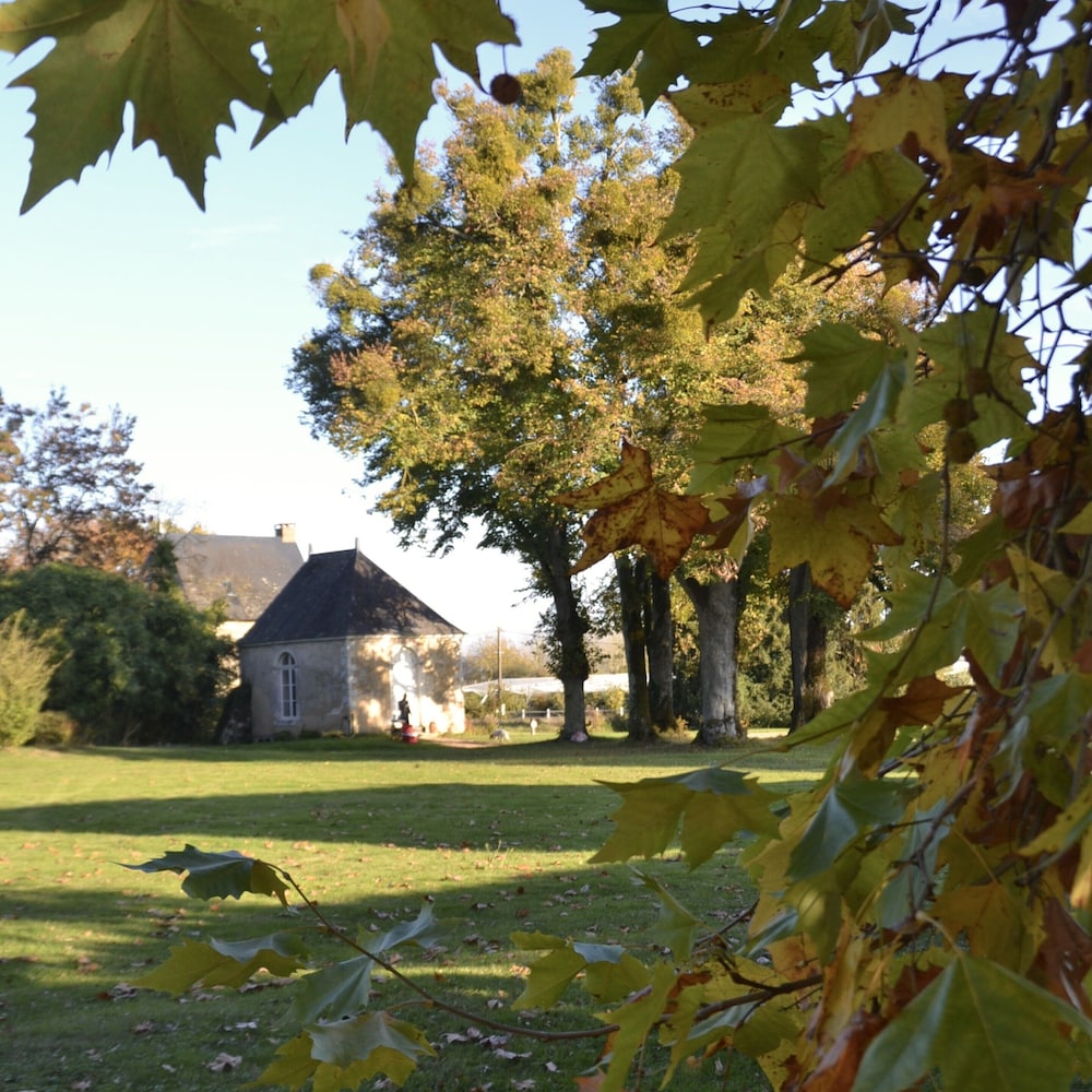 Live the Chateau Dream in the Loire Countryside