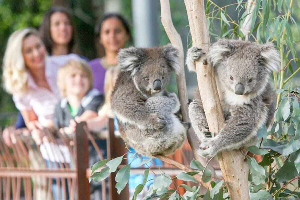 A 3BR Apt Next to Melbourne Zoo, Free Parking