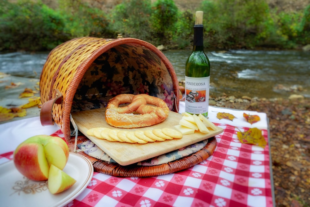 Bear Creek Lodge and Cabins in Helen Ga - Pet Friendly, River on Property, Walking Distance to downtown Helen