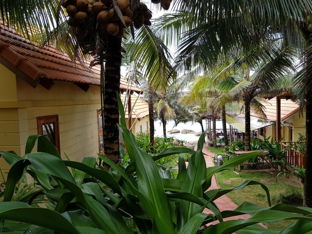 Free Beach Resort