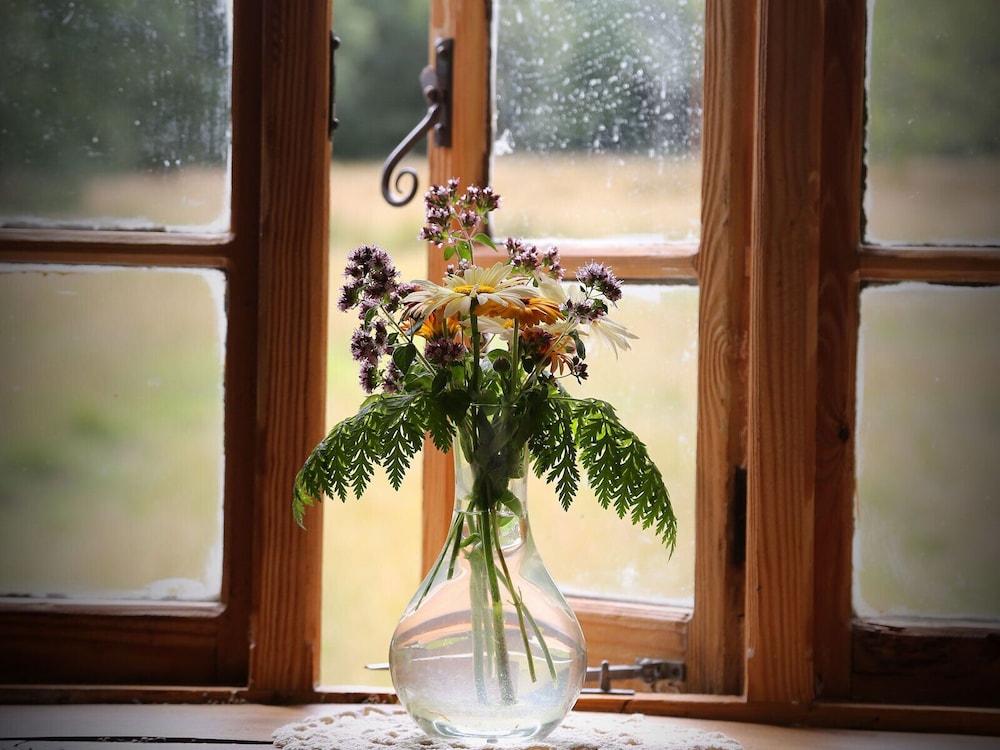 Hay Meadow Farm