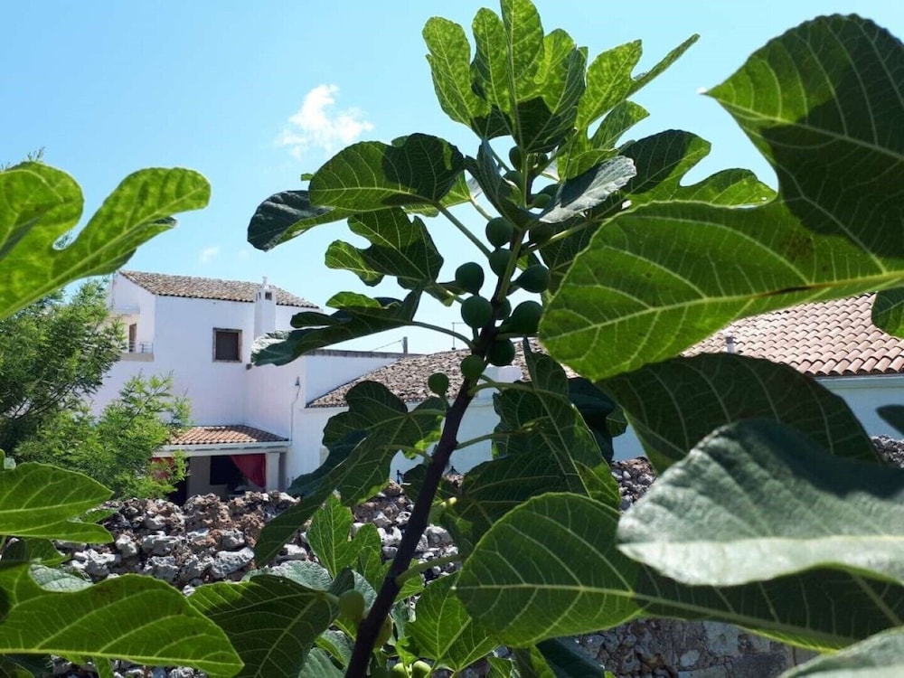 Masseria Costarella